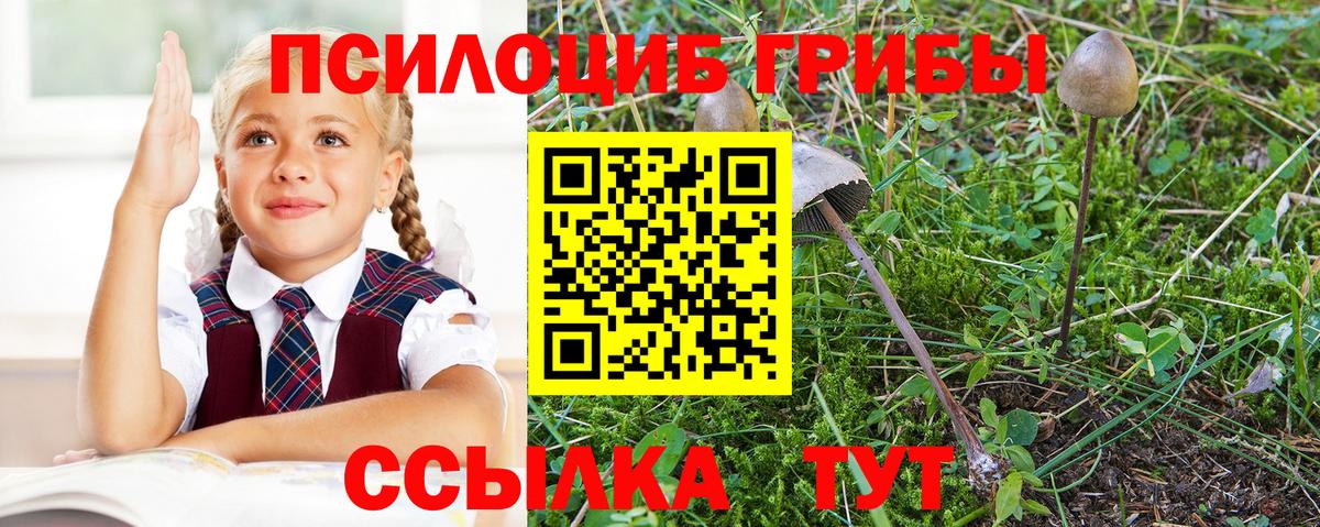 Мелеуз  Галлюциногенные грибы MAGIC MUSHROOMS  Вход с VPN 